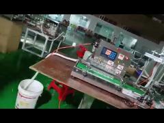 Gear Pump Liquid Filling Machine