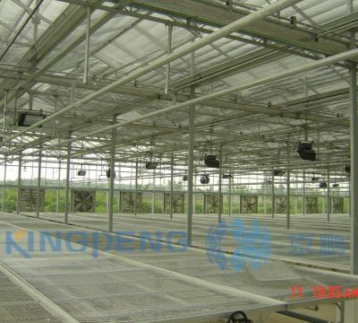 China Available Agricultural Multi Span Double Layer Cavity Glass Greenhouse ISO9001:2015 for sale