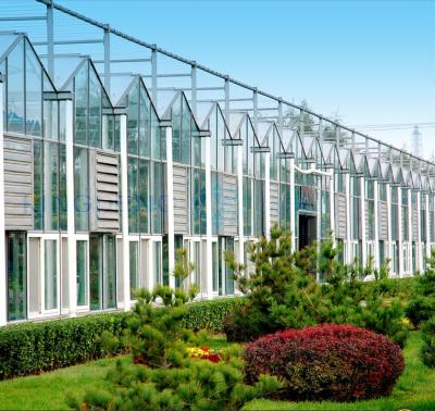 China ECO FRIENDLY Large Size And Multi-Span Agricultural Greenhouses Commercial Glass Greenhouse for sale