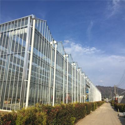 China Flat Glass Tempered Transparent Clear Glass Greenhouses For Agriculture for sale