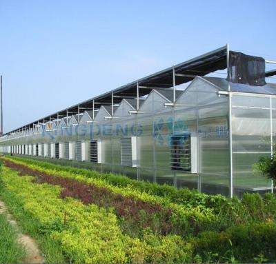 China Available Venlo Roof Polycarbonate Sheet Agricultural Greenhouse for sale