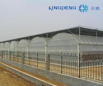 China PE Multi Span Plastic Film Poly Arch Greenhouse for sale