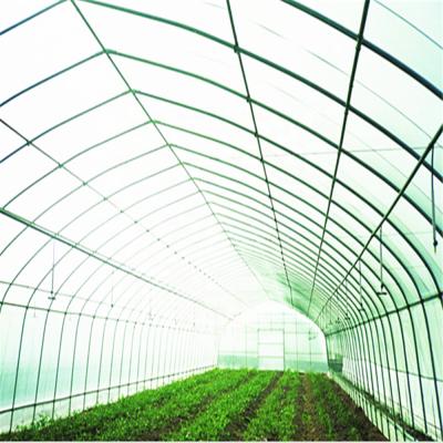 China Single Span Greenhouse Single Film Cover Span Solar Greenhouse for sale