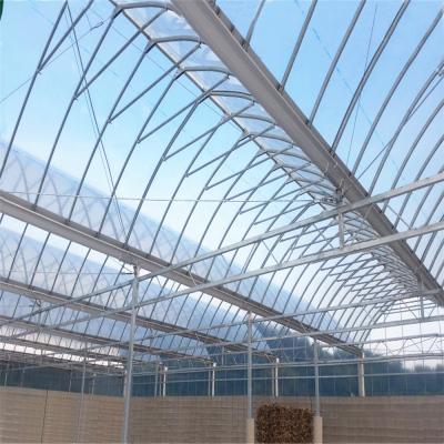 China High PE Tunnel Greenhouse Frame For Vegetable / Leafy Vegetable With ISO9001:2015 for sale