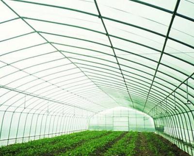 China Agricultural PE Greenhouse Tunnel for sale