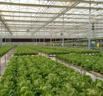 China PE greenhouse flooring materials for sale