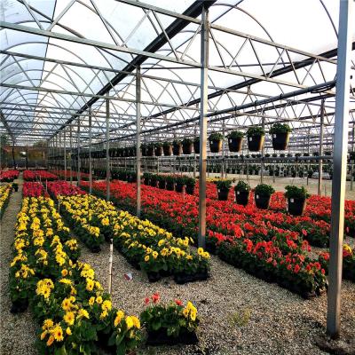 China Easily Assembled Horticulture Greenhouse for sale