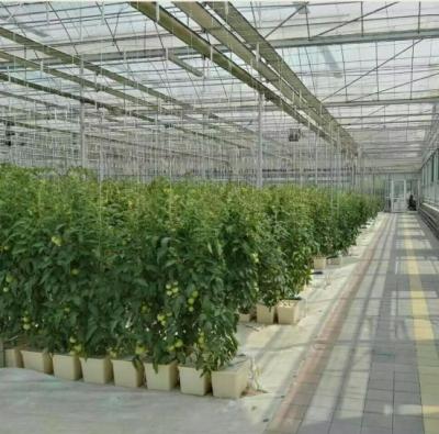 China Industrial Glass Greenhouse for sale