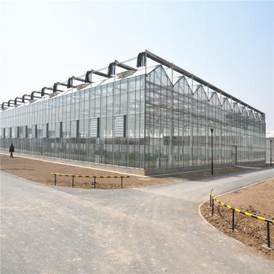 China Easily Assembled Special Function Green House for sale