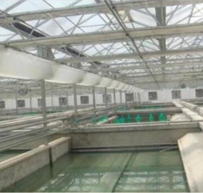 China Fish Farming Used Commercial Aquaculture Greenhouse for sale