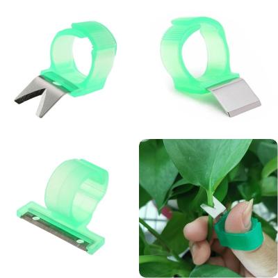 China Vegetable Fruit Picker Picking Ring/Garden Good Easy Use Design Harvesting Cut Tool/Fruit and Vegetable Cutter Tool for sale