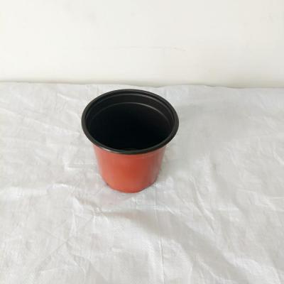 China Eco - Friendly Small Plastic Flower Pots Flower Pots Planter South Africa for sale