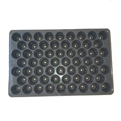 China 60 Holes Thailand Malaysia Indonesia PS PVC Seed Cell Tray Eco-friendly Plastic Seed Nursery Tray for sale