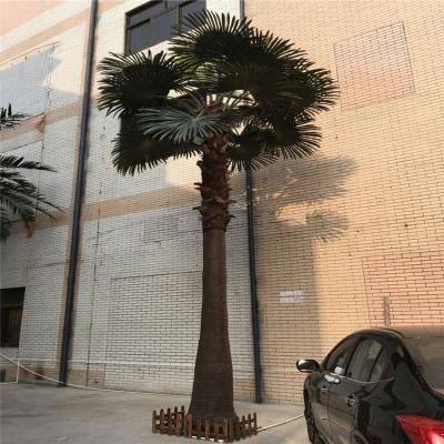 China Decoration customized plastic simulation plam artificial tree with non-pollution fiberglass trunk for sale