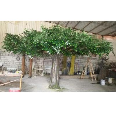 China Anti-UV China Factory Direct Sale High Quality Decoration Artificial Green Simulation Banyan Tree for sale