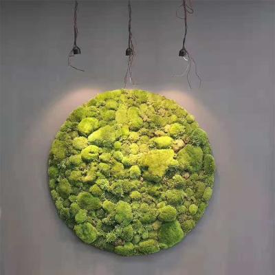 China DIY Moss Wall Artificial Green Grass Indoor Plant Greenery Wall Decoration Manufacturing for sale