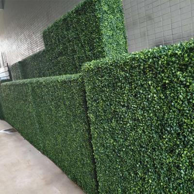 China Decoration Artificial Flower Boxwood Wall 3D Evergreen Greenery Exterior Walls for sale