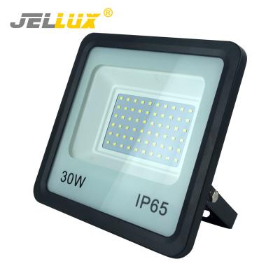 China Morden China Suppliers 30W Good Heat Dissipation High Brightness LED Flood Light for sale