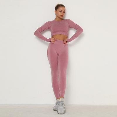 China Breathable Seamless Women Gym Set High Top Long Sleeve Tummy Control Sport Leggings Gym Clothes Seamless Sports Suit Booty Girls for sale