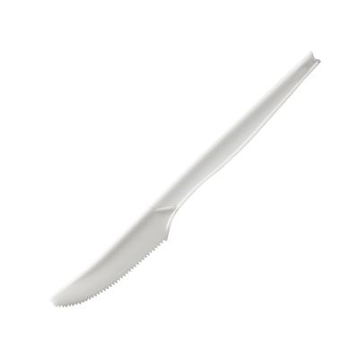 China Hotel Cutlery High Quality Disposable Biodegradable Plastic Ice Cream Fork and Spoon in 2021 for sale