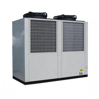 China New Designed 140KW Air Source Heat Pump Heater Features Cooling And Heating for sale