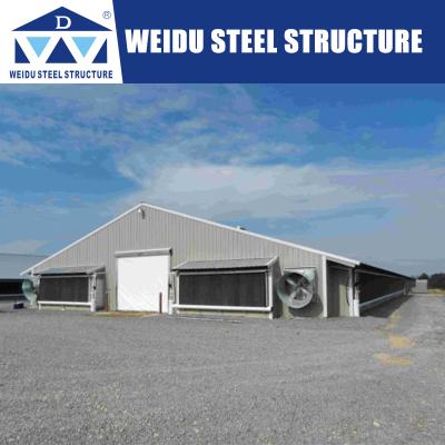 China Steel Structure Chicken Farm House Poultry Farm Shed Chicken House / Duck for sale