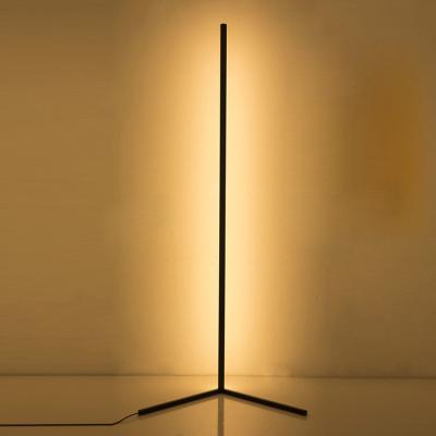 China Modern Innovative Smart RGB Floor Lamp For Living Room Bedroom Atmosphere Changing Light for sale