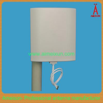 China High gain 2.4GHz 2x12dBi Mimo Antenna WLAN antenna wifi antenna for sale