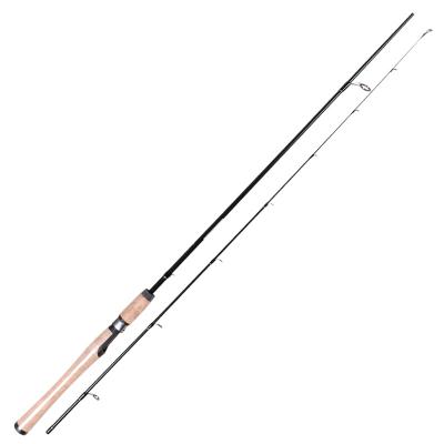 China Solid Carbon Tip Trout Rod And Reel Ultra Light Spinning Fishing Combo for sale