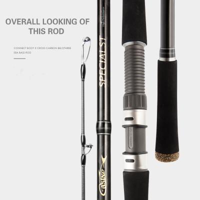 China Carbon 3 Section Action Saltwater Sea Fishing Medium Strong Spinning Sea Bass Rod for sale