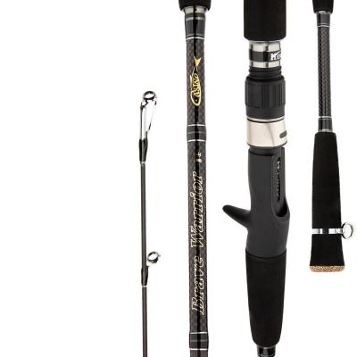 China Carbon Taigek Coastal Boat 2 Piece Rods Spinning Rod China Fishing Rod for sale