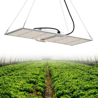 China Button Dimming Led Growing Light For Plant Growth 200W High Quality Led Grow Light Board Cultivation 200 Watt Led Grow Light for sale