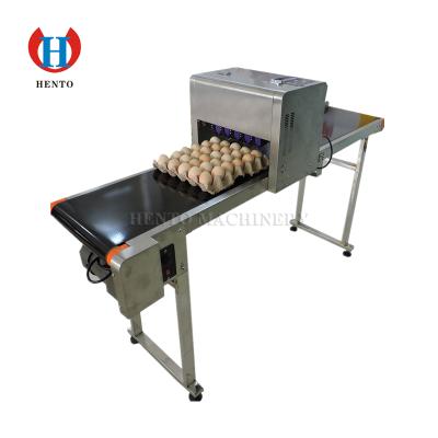 China Hotels commercial friendly ink egg date code printing machine/egg machine inkjet printer for sale