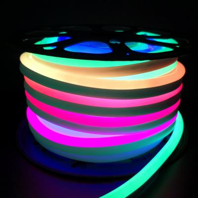 China Waterproof Flexible LANDSCAPE RGB LED Neon Strip Light for sale