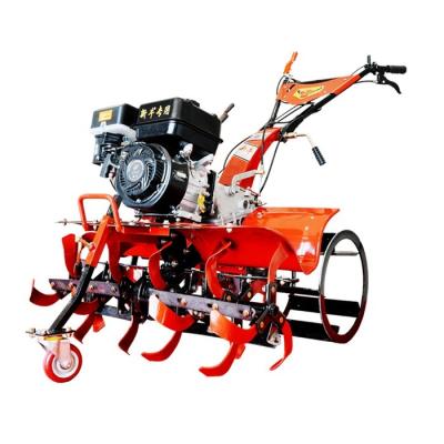 China Farm Equipment Newly-designed Four-wheel Drive Gear Transmission Mini Plow Power Tiller for sale