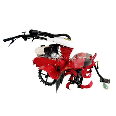 China 70cm Tilling Width Orchard Tilling Gasoline Mini Tiller for Labor-saving Cultivation for sale