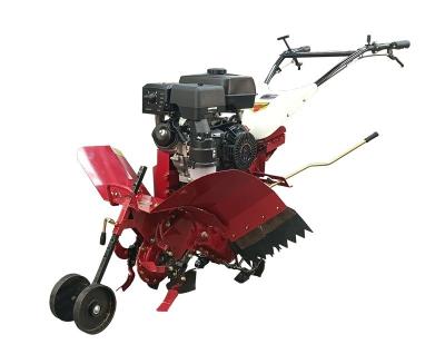 China Farm Cultivator Multi-purpose Mini Tiller for Rotary Tillage/ Weeding/Ditching/Ridging for sale