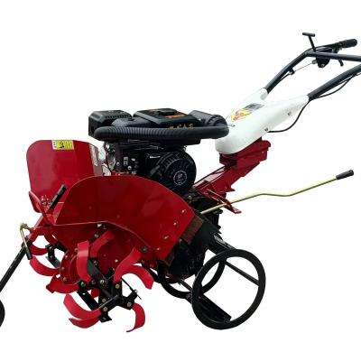 China Adjustable Working Width 45-85cm Mini Power Tiller Cultivator with Roary Function for sale