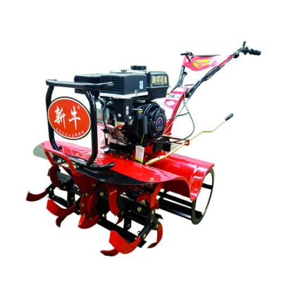 China Farm Cultivator 160*62*108cm Economical Cultivating Machine Manual Start Mini Tiller for sale