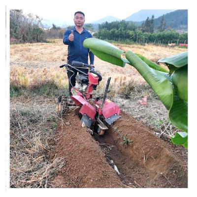 China Multi-purpose Orchard Gasoline Power Tiller Engine for Weeding Ditching and Ridging for sale