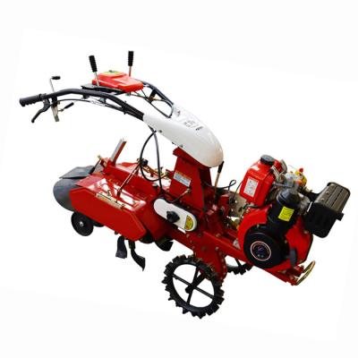 China 155*75*105cm Handheld Diesel Engine Mini Power Tiller Cultivator for Soil Preparation for sale