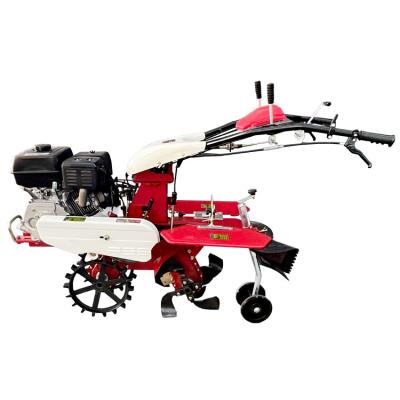 China Agricultura y jardín de gasolina con tracción en las cuatro ruedas Mini Tiller con diseño autopropulsado en venta