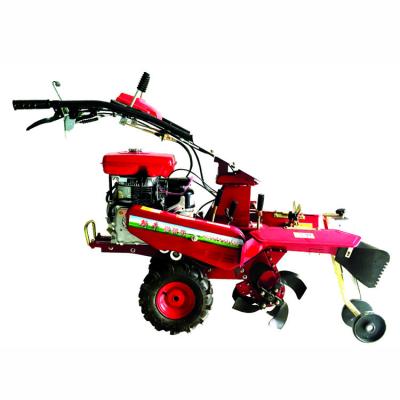 China Soil Loosening Gasoline Mini Tiller for Vegetables Working Width 11-39cm for sale