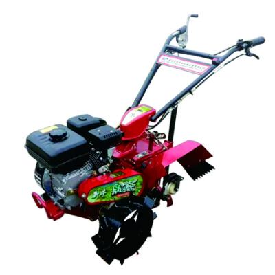 China 145*62*85cm Mini Power Tiller Rotary Cultivator with Four-Wheel Drive Mode for sale