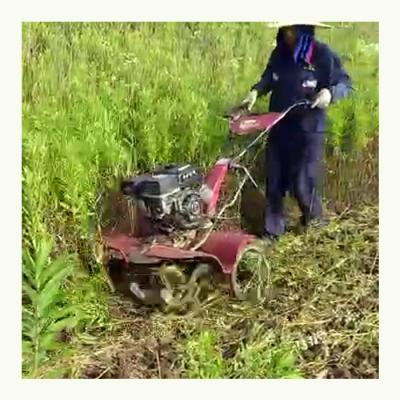 China 4WD Gear Transmission Small Power Rotary Tiller Agriculture Machinery Equipment for Rice for sale