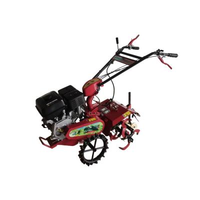 China 70cm de ancho de trabajo Compacto 177F Motor de gasolina con tracción a las cuatro ruedas Mini Tiller Cultivator en venta