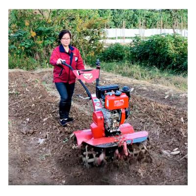 China Design Mini Power Tiller for Farm Garden Management and Agriculture Machinery Equipment for sale