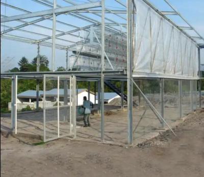 China Anticorrosive Steel Framed Agricultural Buildings Q345 Prefabricated Poultry House for sale