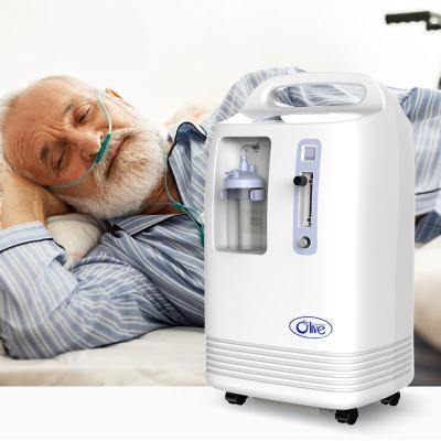 China 24/7 Oxygen-New Concentrador De Oxigeno 10litros /h Continuous Flow Portable Mobile Oxygen Concentrator 5l 10l Medical Grade Concentrator for sale