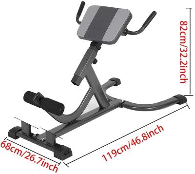 China Lounge All Network Blast Workout Training Bench Fitness Strength Roman Chair for sale